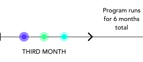 Timeline for Pre-Incubator